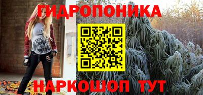 шишки Берёзовский