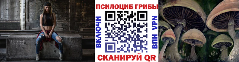 купить наркоту Нягань Псилоцибиновые грибы Psilocybe