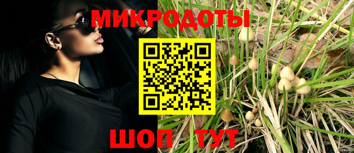 где продают наркотики  Псилоцибиновые грибы MAGIC MUSHROOMS  Вход с VPN  Нягань 