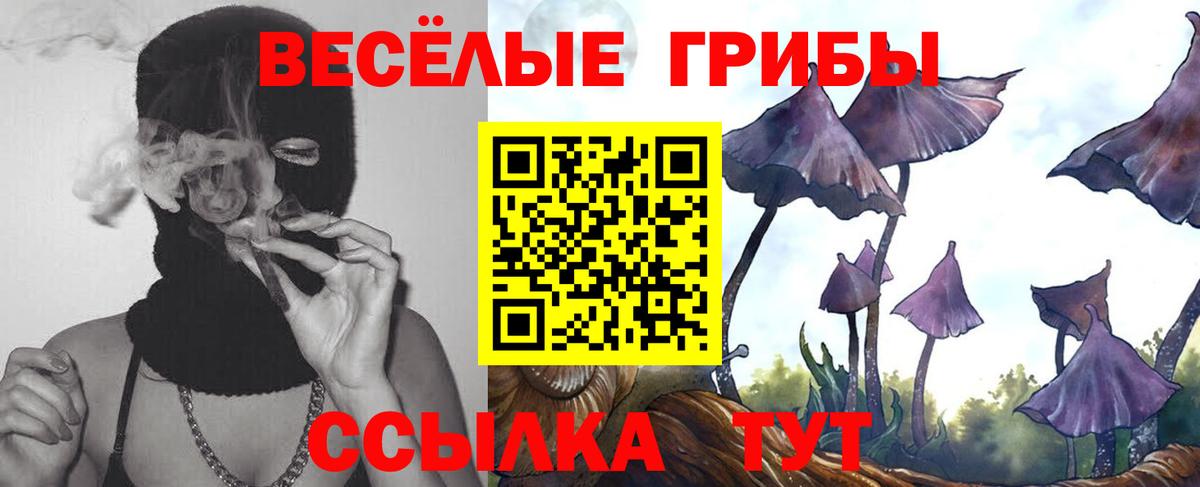 Псилоцибиновые грибы прущие грибы Нягань