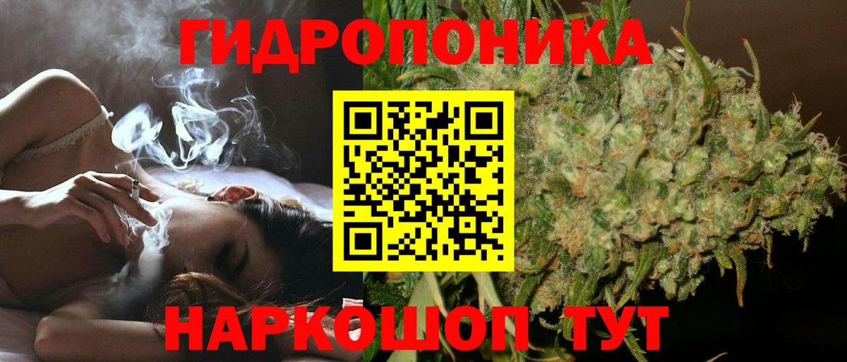 Каннабис OG Kush  МАРИХУАНА планчик  Вход с VPN  Нягань  Канабис Amnesia 